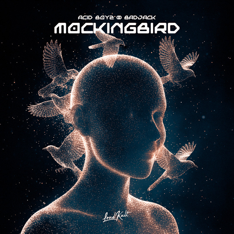 Badjack & ACID BOYZ - Mockingbird (Original Mix)
