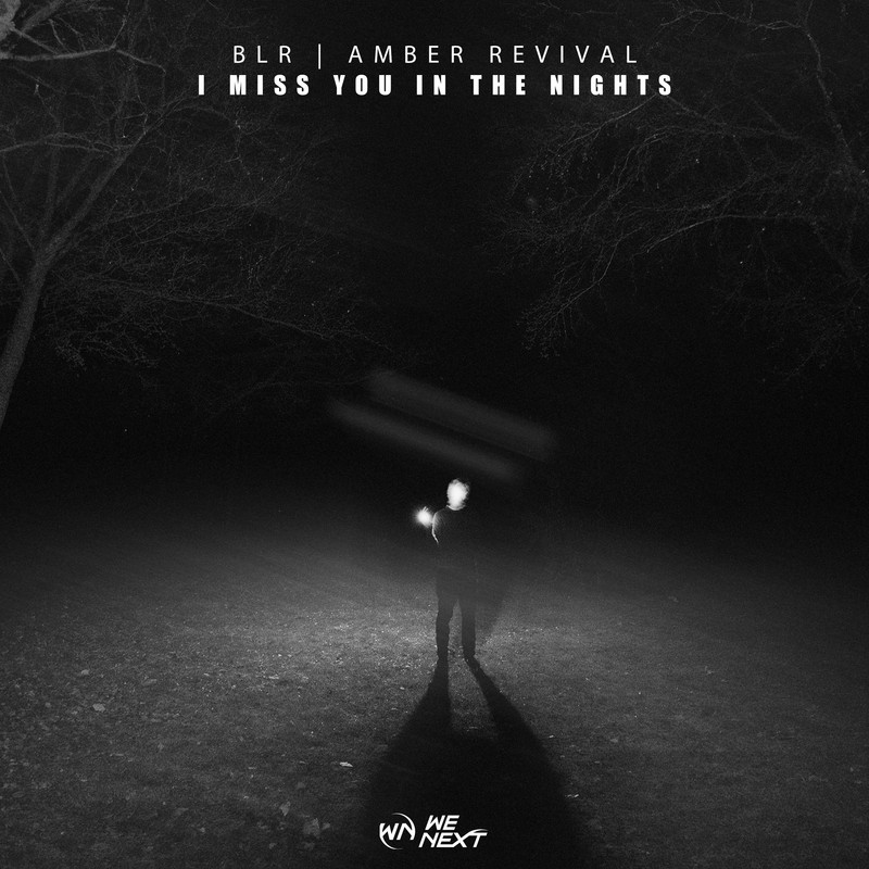 BLR & Amber Revival - I Miss You In The Nights (Extended Mix)