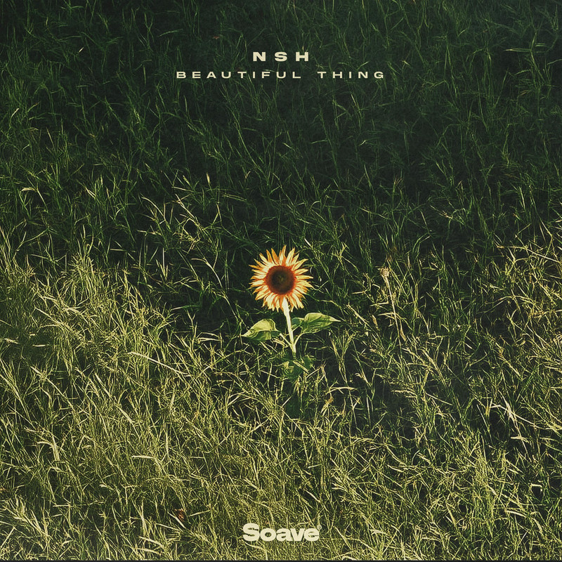 NSH - Beautiful Thing (Original Mix)