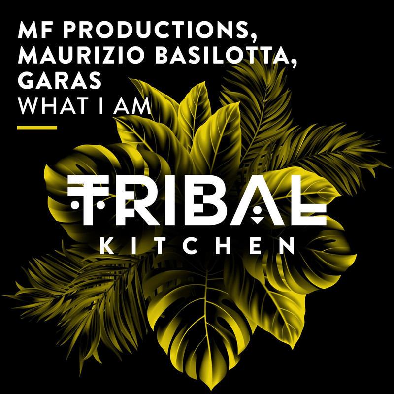 Maurizio Basilotta, MF Productions, Garas - What I Am (Extended Mix)
