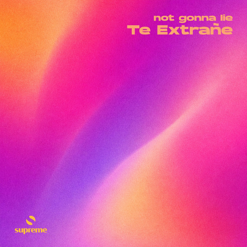 not gonna lie - Te Extra&ntilde;e (Extended Mix)