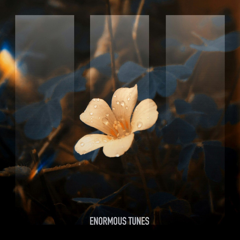 MaMan (NL) & Passenger 10 - Bloom in the Ashes (Extended Mix)