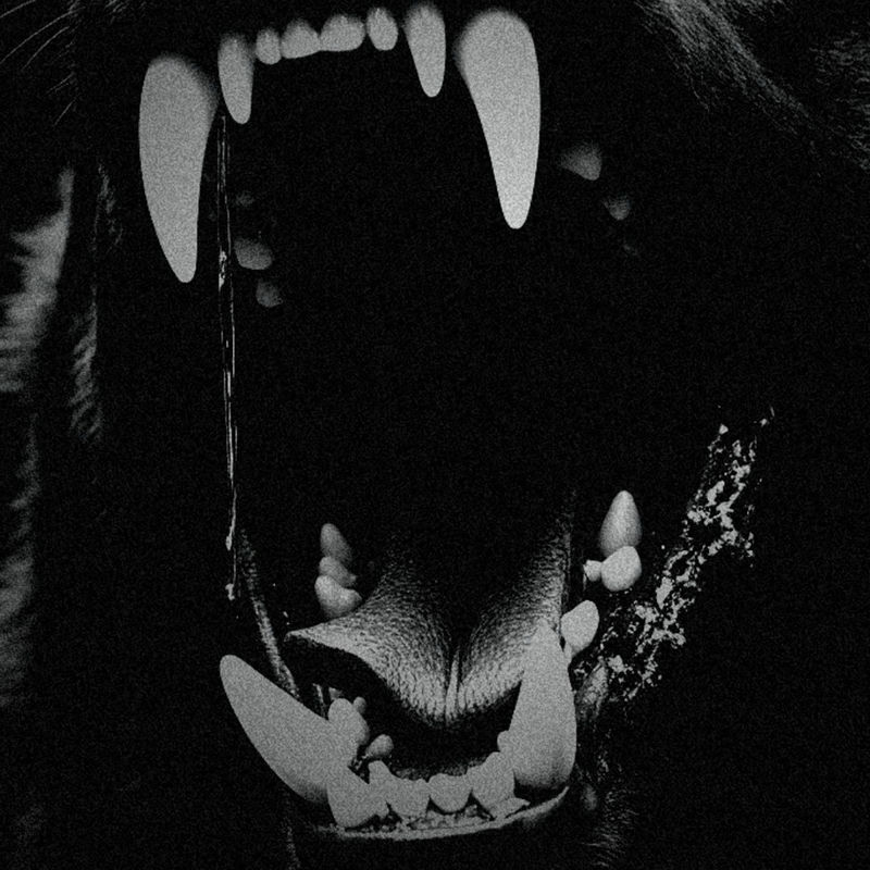 Varien - Dog Teeth (Original Mix)