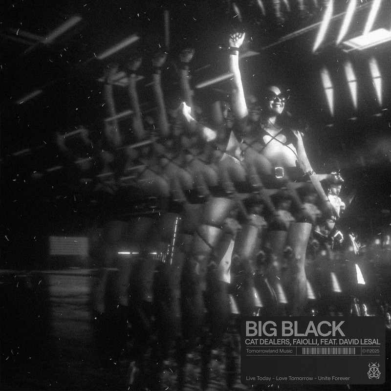 Cat Dealers & Faiolli ft David LeSal - Big Black (Extended Mix)