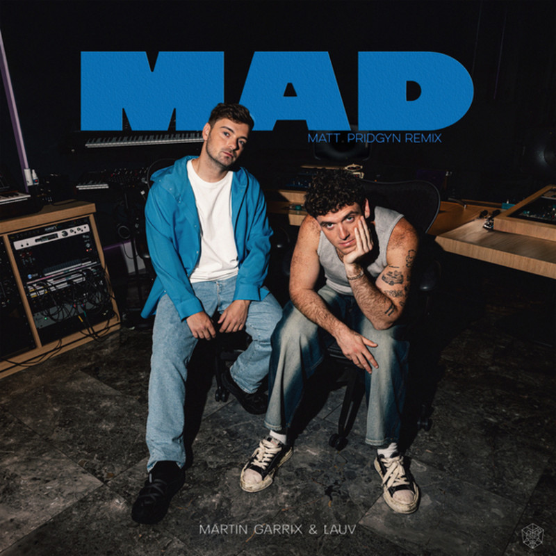 Martin Garrix & Lauv - MAD (Matt Pridgyn Extended Remix)