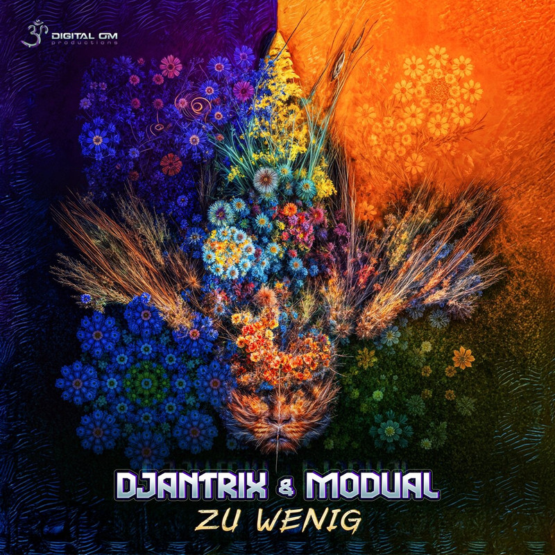 Djantrix & Modual - Zu Wenig (Original Mix)