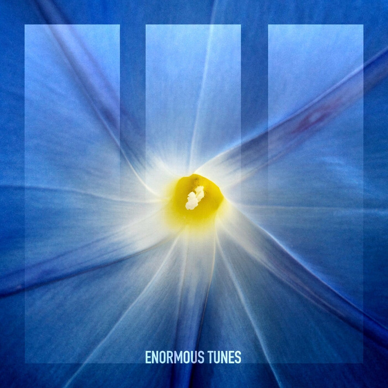 Passenger 10 - Nobody but You (Extended Mix)