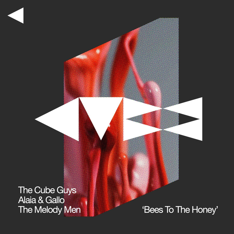 The Cube Guys, Alaia & Gallo, The Melody Men - Bees To The Honey (Original Mix)