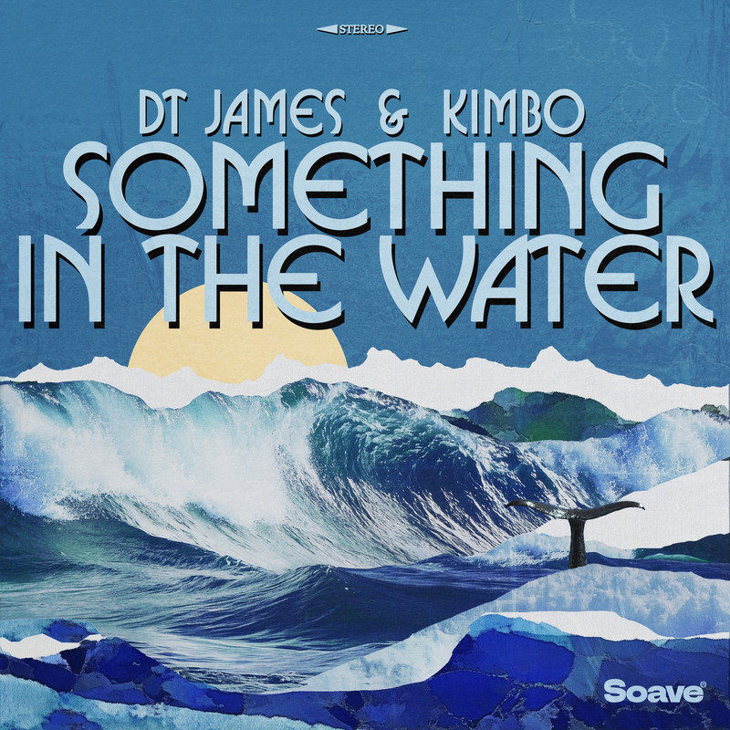 DT James & Kimbo - Something In The Water (Original Mix)