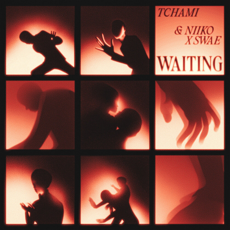 Tchami & NIIKO X SWAE - Waiting (Extended Mix)