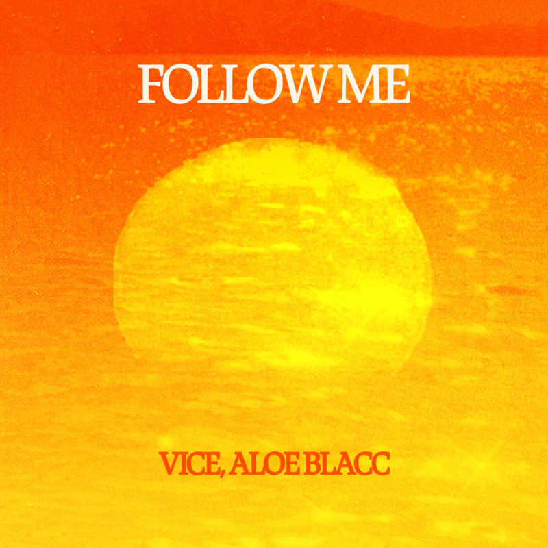 Vice & Aloe Blacc - Follow Me (Extended Mix)
