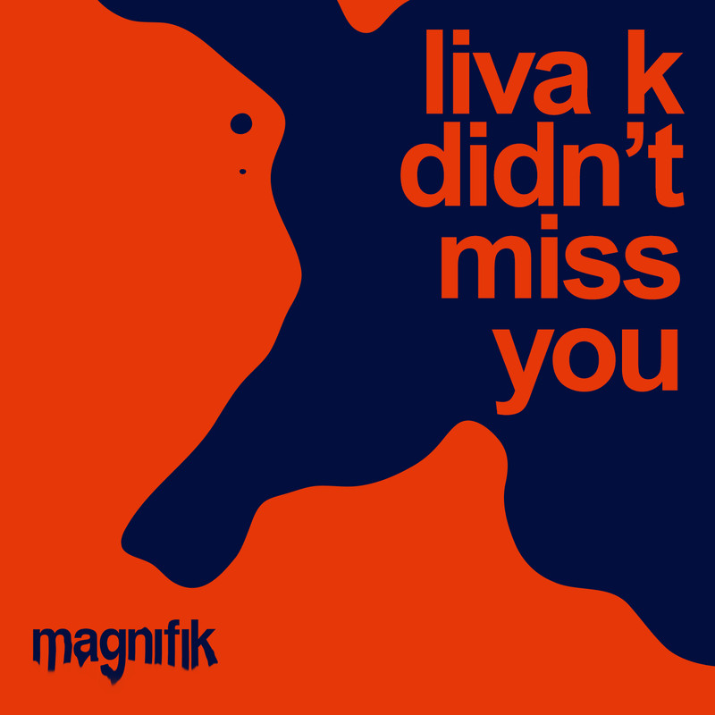 Liva K - Didn't Miss You (Extended Mix)