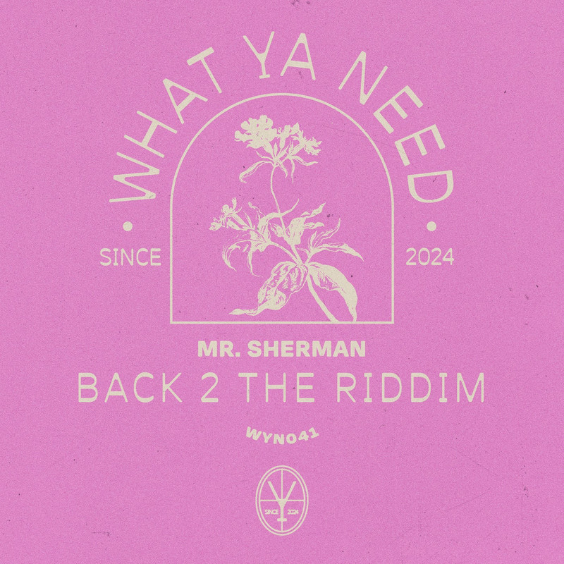 Mr. Sherman - Back 2 The Riddim (Extended Mix)