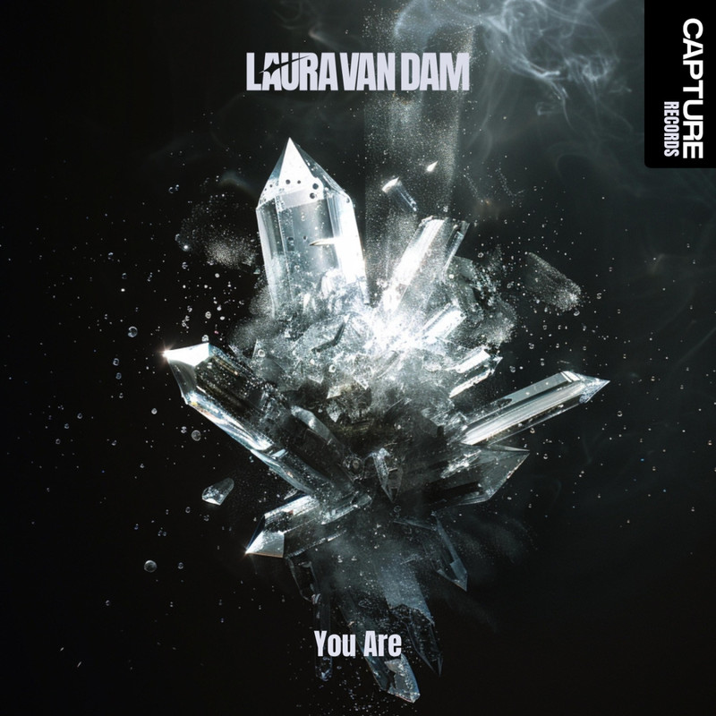 Laura van Dam - You Are (Extended Mix)