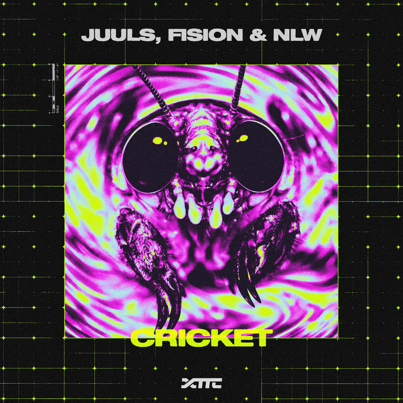 JUULS, Fision & NLW - Cricket (Original Mix)