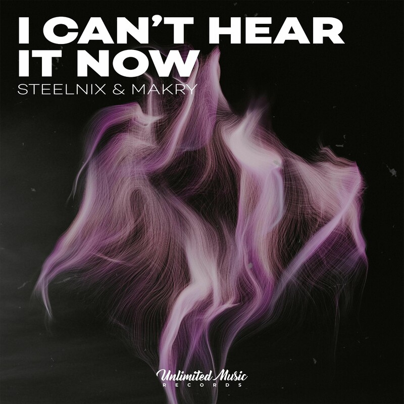 SteelniX & Makry - I Can’t Hear It Now (Original Mix)