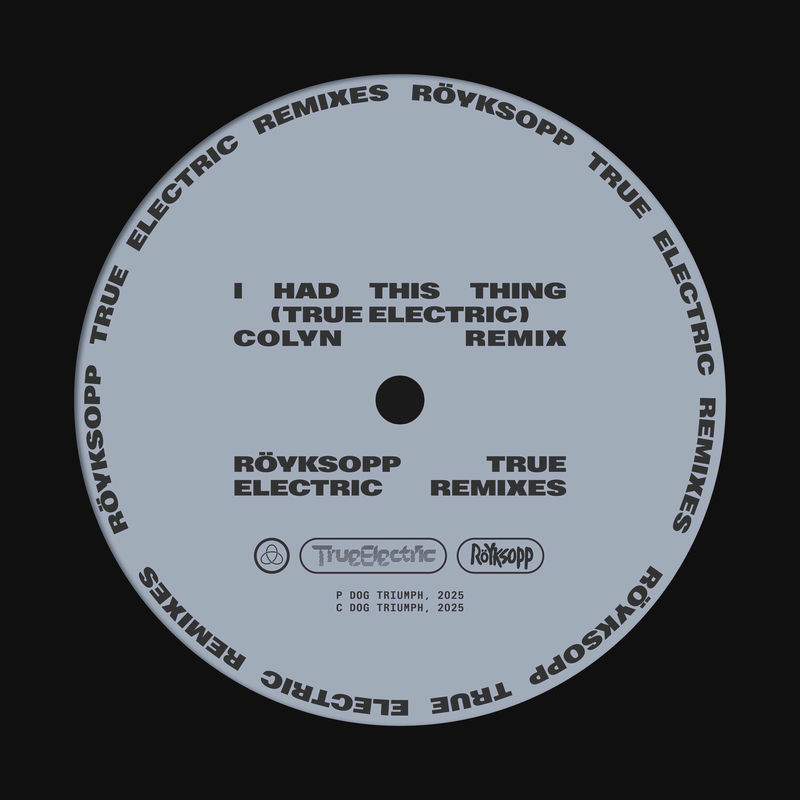 Röyksopp - I Had This Thing (feat. Jamie Irrepressible & Colyn) (Colyn Remix)