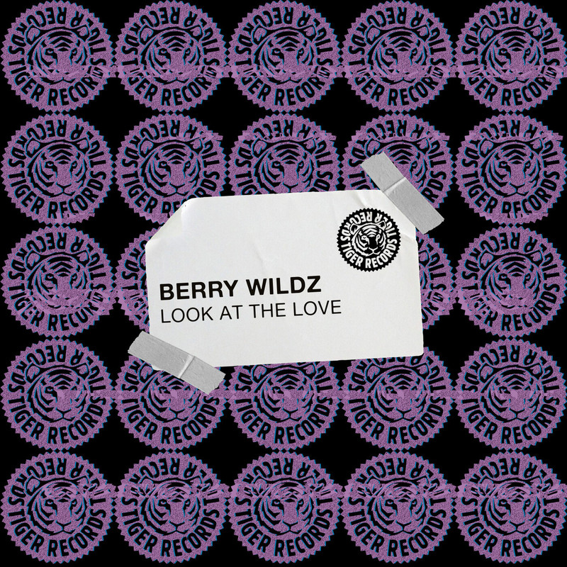 Berry Wildz - Look at the Love (Extended Mix)