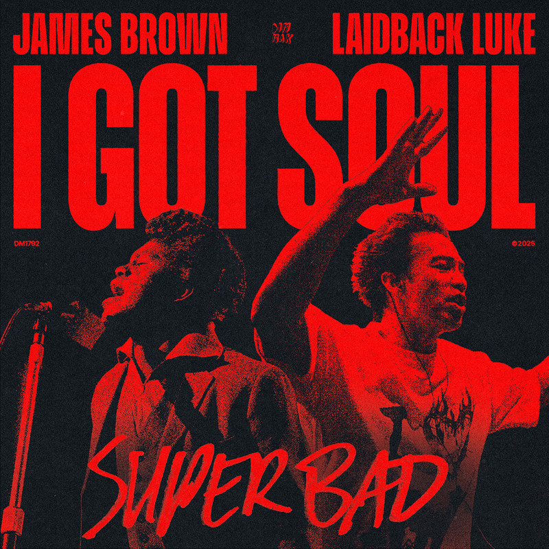 James Brown & Laidback Luke - I Got Soul (Super Bad) [Extended Mix]