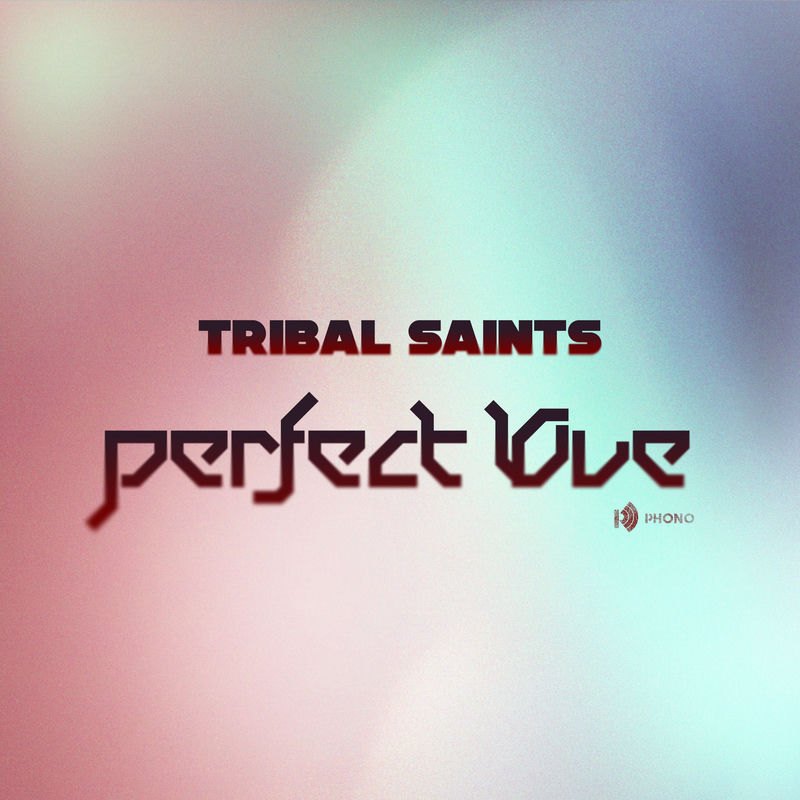 Tribal Saints - Perfect Love (ManyFew Extended Vocals Mix)