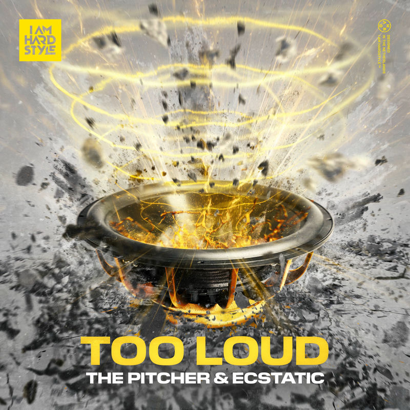 The Pitcher & Ecstatic - Too Loud (Original Mix)