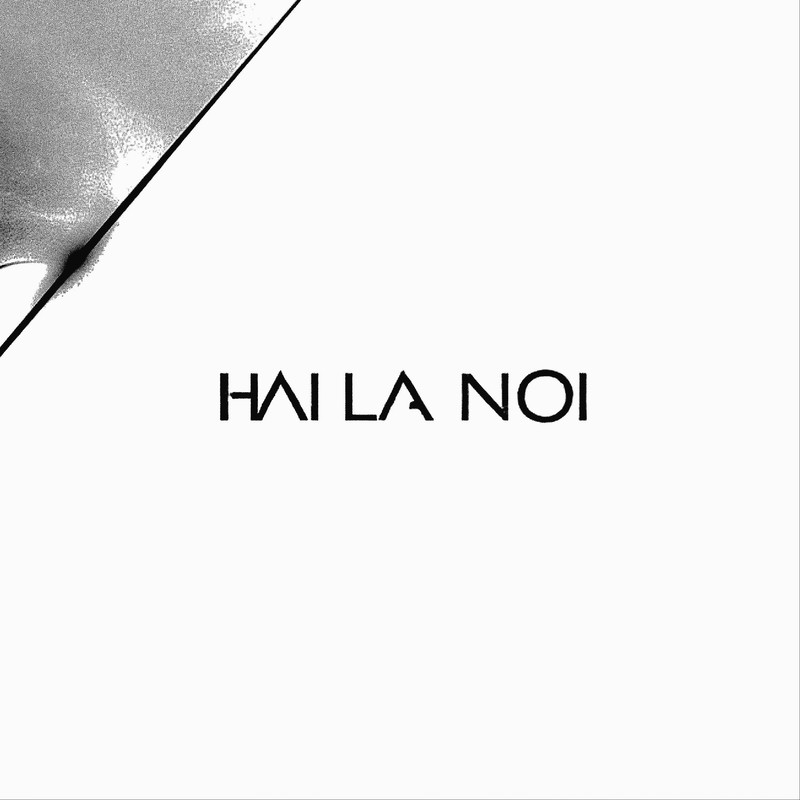 NSD - Hai La Noi (2K25 REMIX)