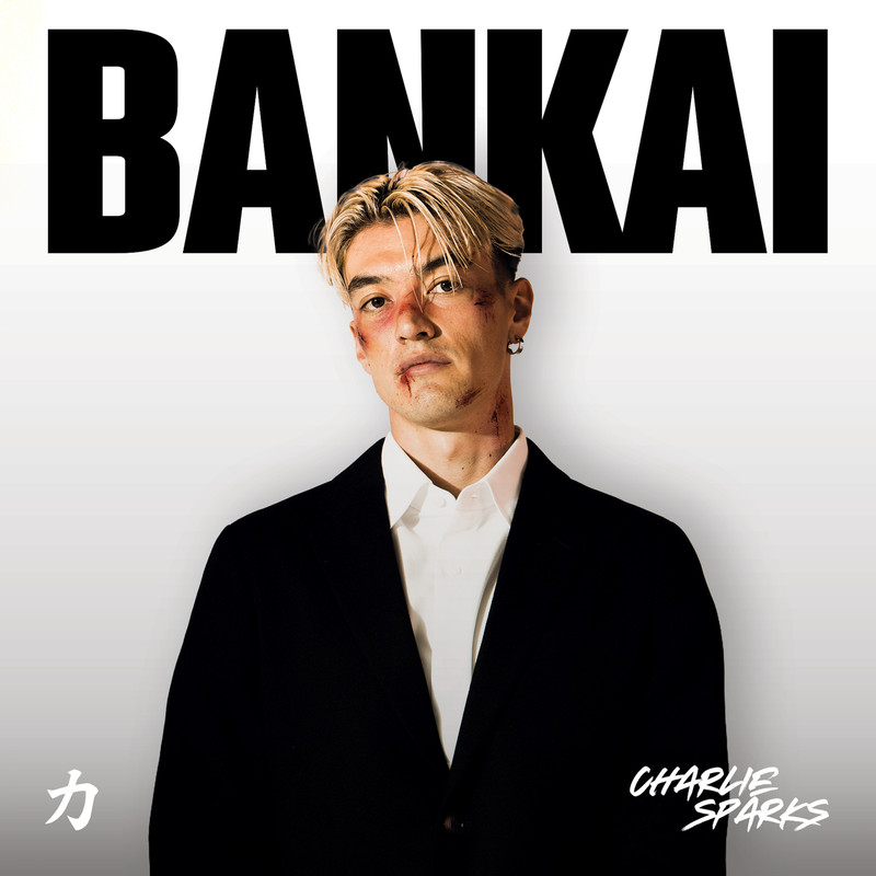 Charlie Sparks (UK) - Bankai (Original Mix)