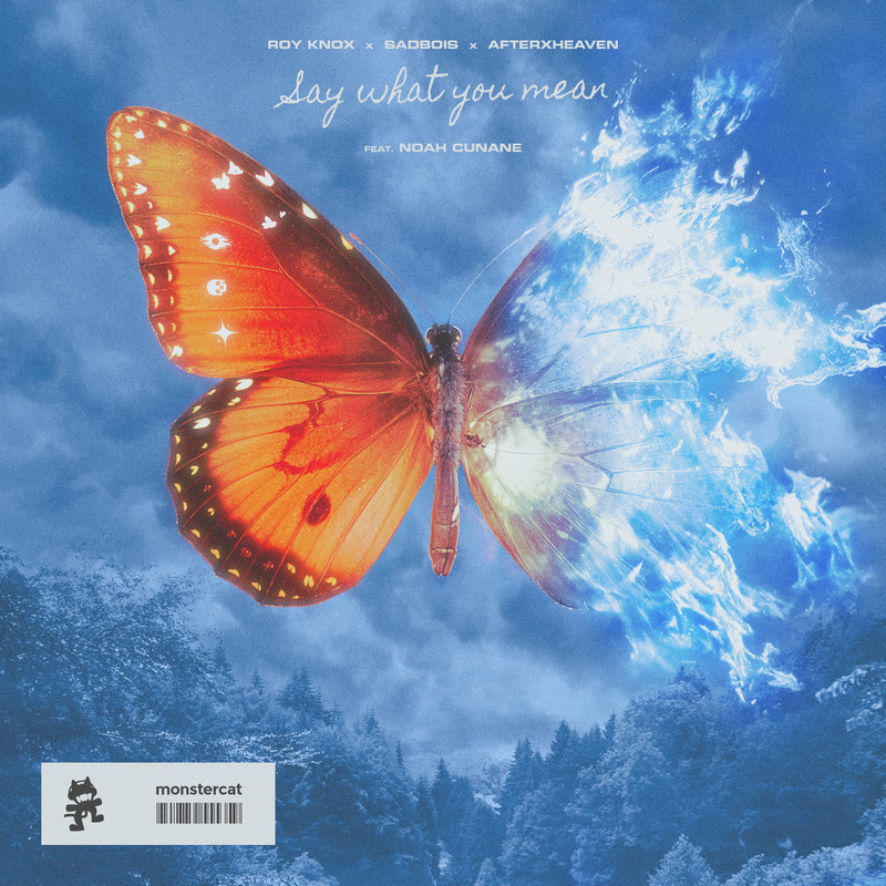 ROY KNOX, SadBois & afterxheaven - Say What You Mean (Feat. Noah Cunane) (Original Mix)