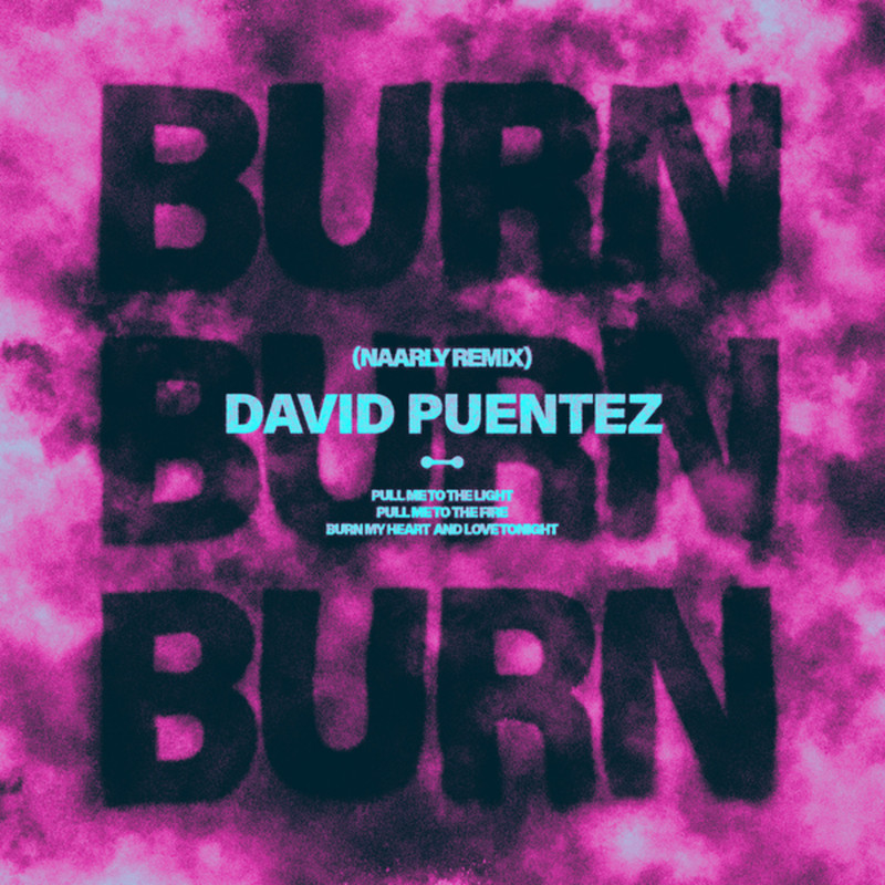 David Puentez - Burn (Naarly Extended Remix)