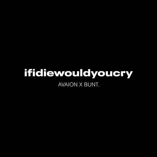 BUNT., AVAION - ifidiewouldyoucry (Extended Mix)
