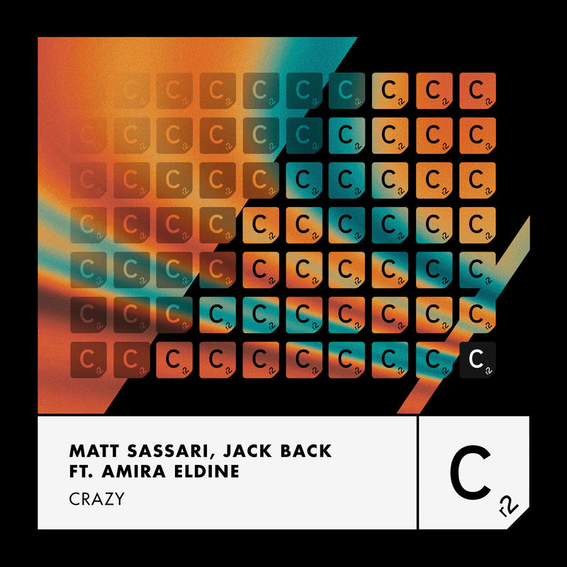 Matt Sassari, Jack Back a.k.a. David Guetta - Crazy (Extended Mix)