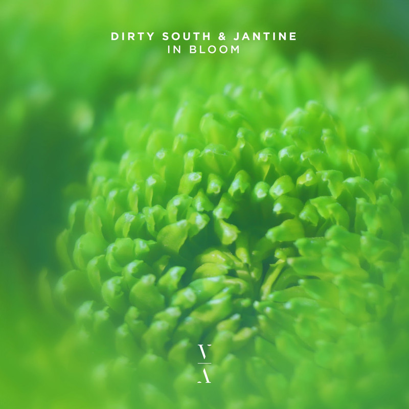 Dirty South & Jantine - In Bloom (Extended Mix)