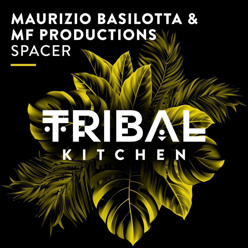 Maurizio Basilotta - Spacer (Extended Mix)