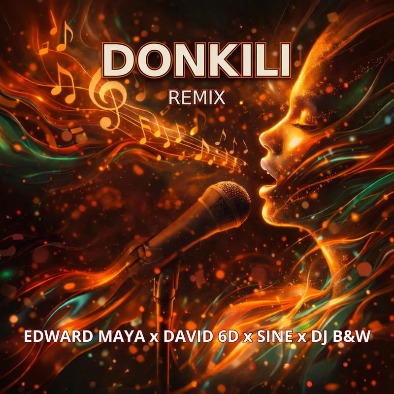 Edward Maya, David 6D, Sin&eacute; & DJ B&W - DONKILI (REMIX)