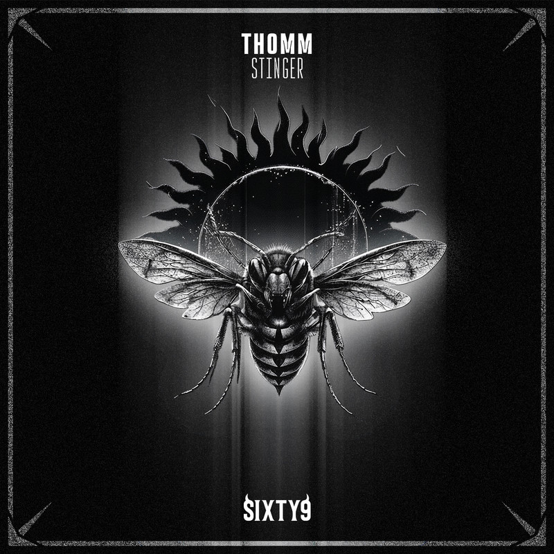 THOMM - Stinger (Extended Mix)