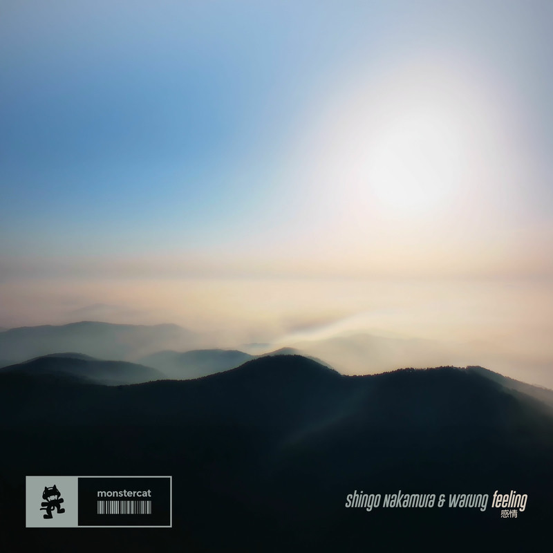 Shingo Nakamura & Warung - Feeling (Original Mix)