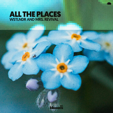 WSTLNDR & Mrs. Revival - All The Places (Extended Mix)