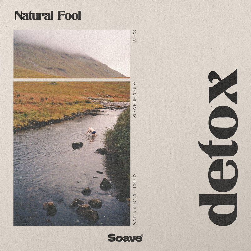 Natural Fool - Detox (Original Mix)