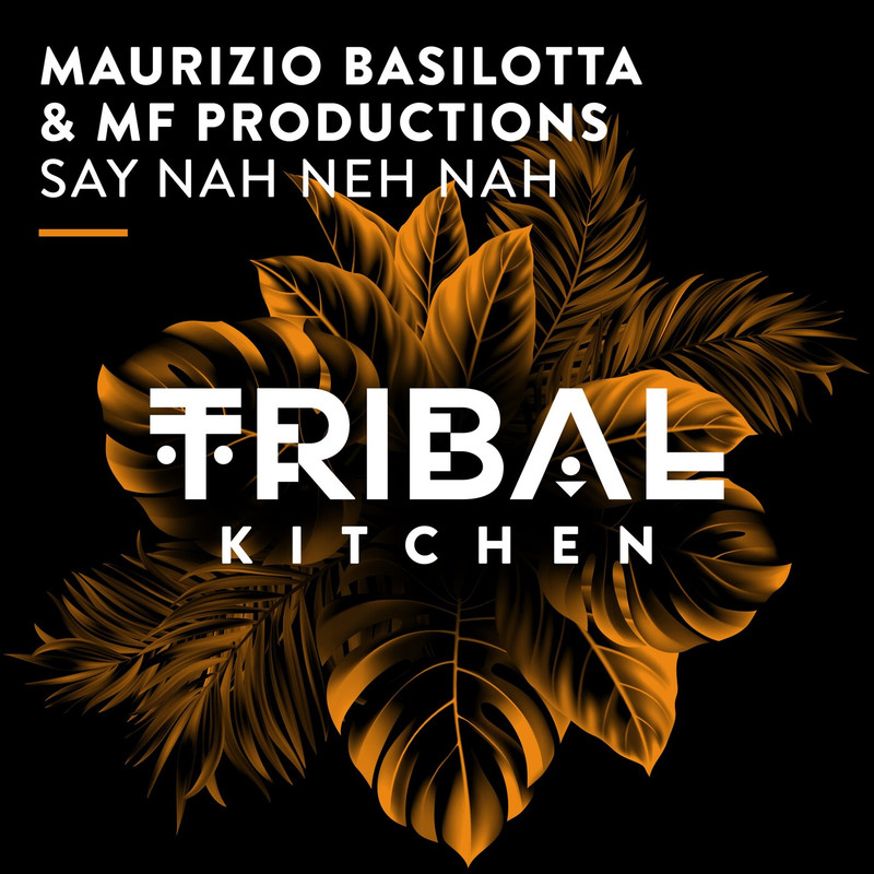 Maurizio Basilotta, MF Productions - Say Nah Neh Nah (Extended Mix)