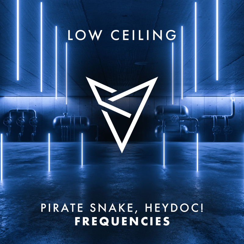 HeyDoc!, Pirate Snake - FREQUENCIES (Extended Mix)