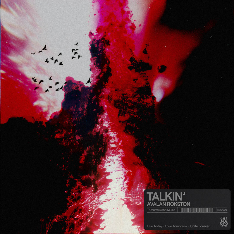 AVALAN ROKSTON - Talkin' (Extended Mix)