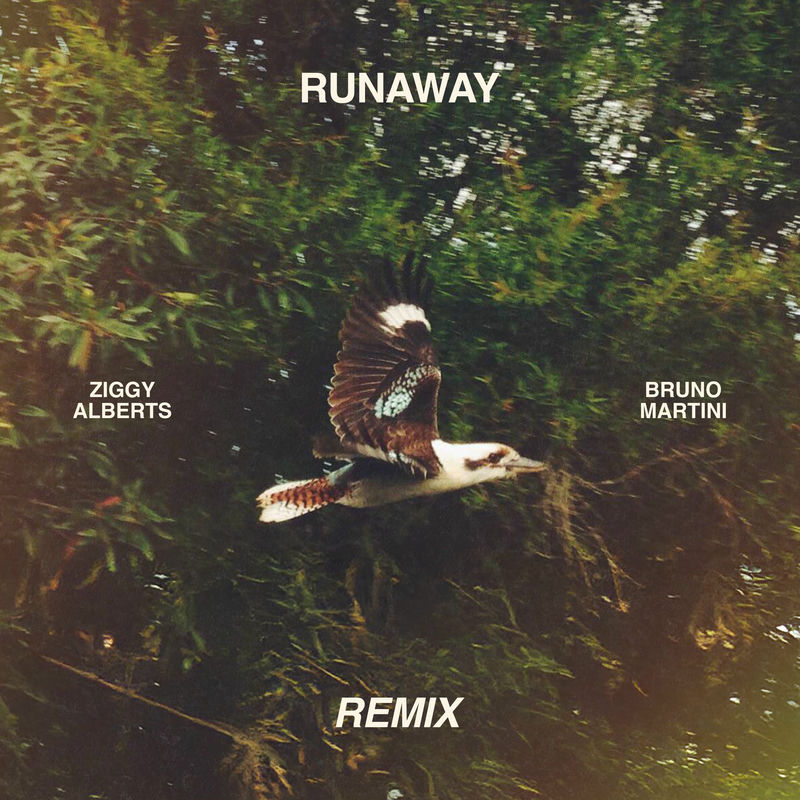 Ziggy Alberts - Runaway (Bruno Martini Remix)