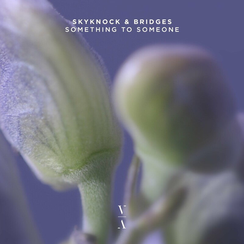 Skyknock & Bridges - Something To Someone (Original Mix)