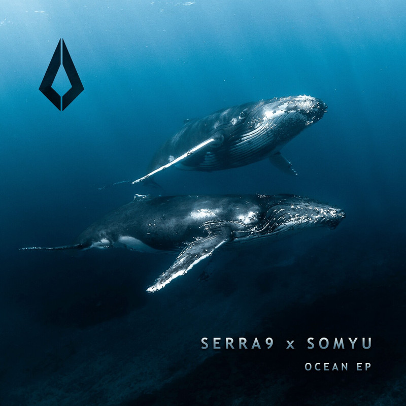 Serra 9 & Somyu - Final Signal (Extended Mix)