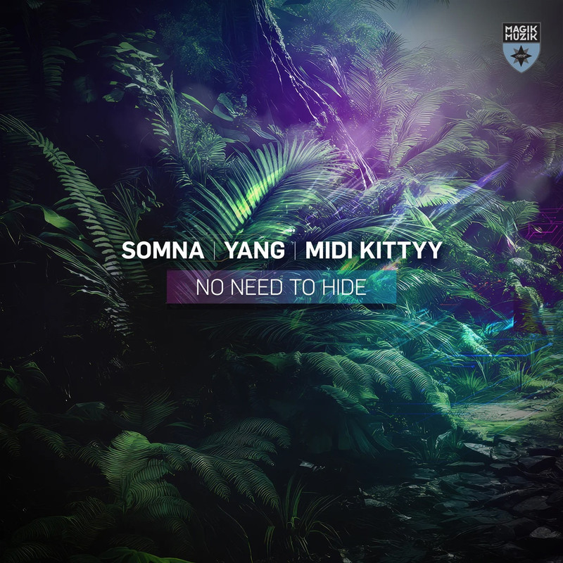 Somna & Yang & MIDI Kittyy - No Need To Hide (Extended Mix)
