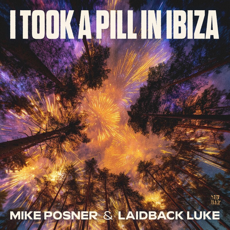 Mike Posner & Laidback Luke - I Took A Pill In Ibiza (Extended Mix)