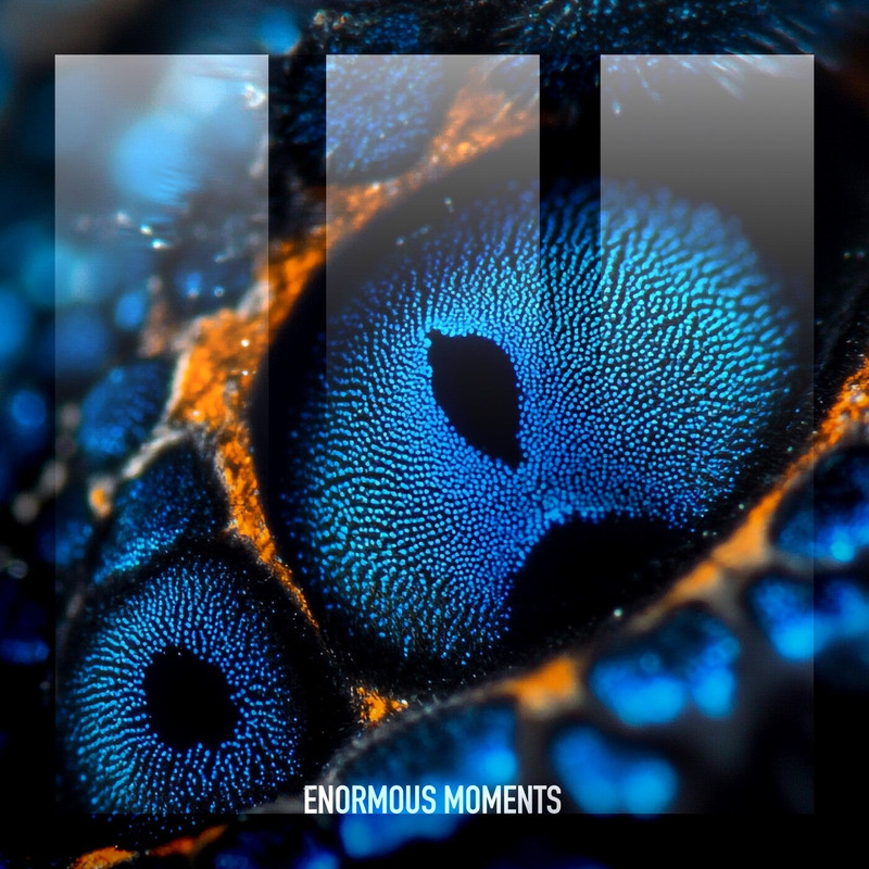 Bar Shaked - Why Don't You Stay (Extended Mix)