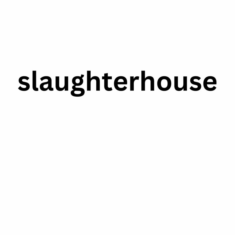 VRG - slaughterhouse (Original Mix)