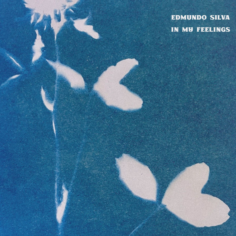 Edmundo Silva - In My Feelings (Original Mix)