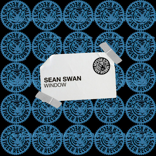 Sean Swan - Window (Extended Mix)